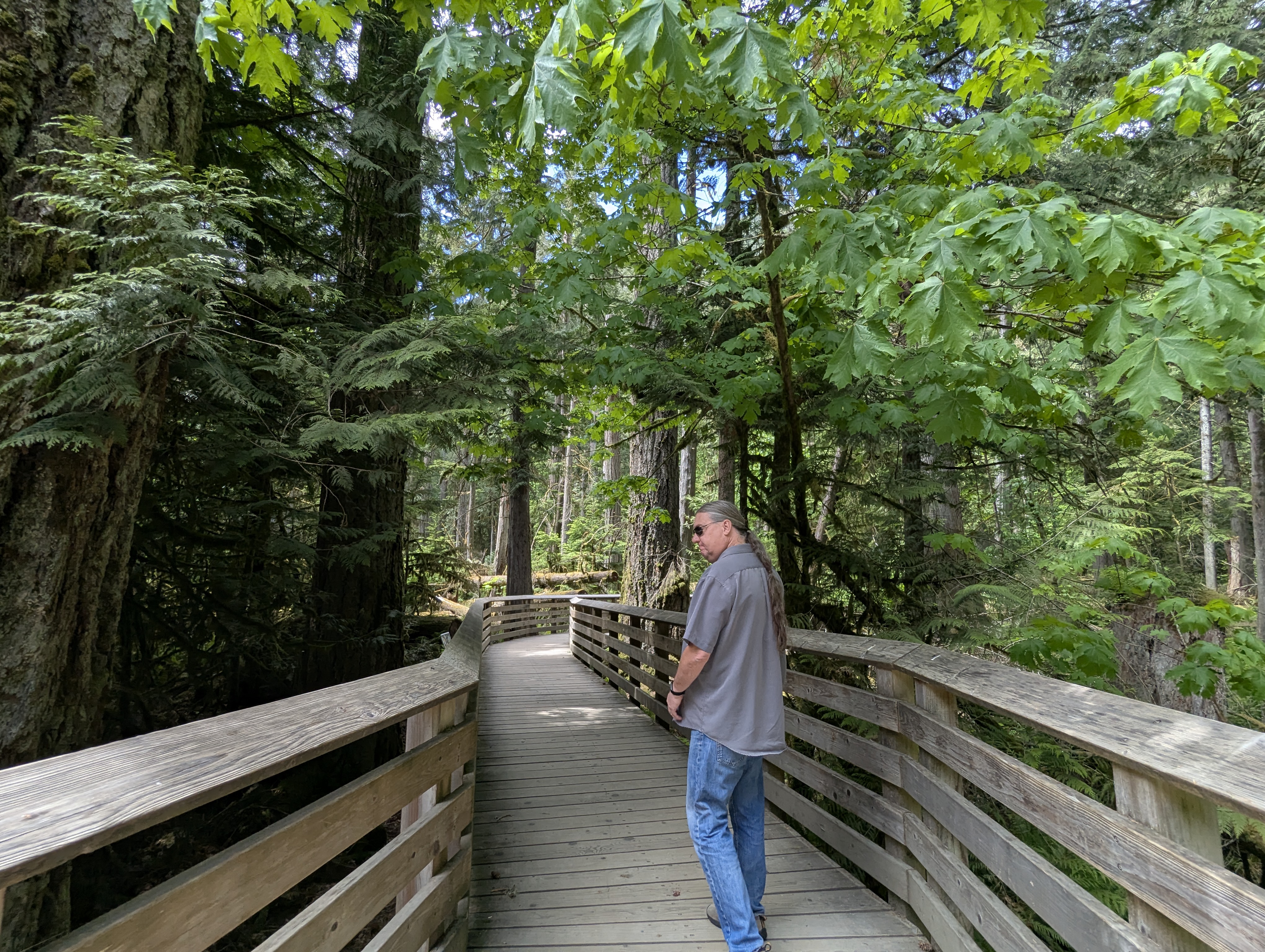 Birthday Trip to Canada, Cathedral Grove, Vancouver Island